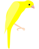 bossu